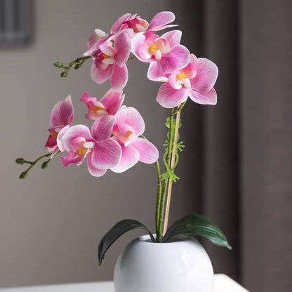 🎁Christmas Sale🎁Frog Plant Stand, Cute Frog Flower Pot Climbing Fixing ClipFrog Plant Stand, Cute Frog Flower Pot Climbing Fixing Clip